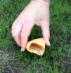 hand holding seed packet