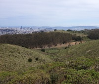 San Bruno Mountain