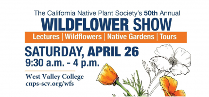 Wildflower Show 2025