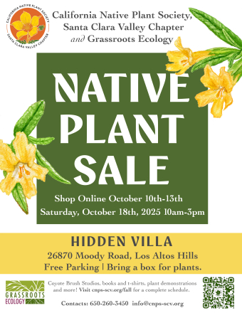 2025 Fall Plant Sale
