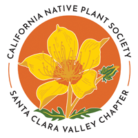 CNPS SCV Blazing Star Logo