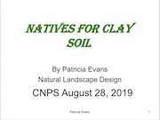 nativesForClay