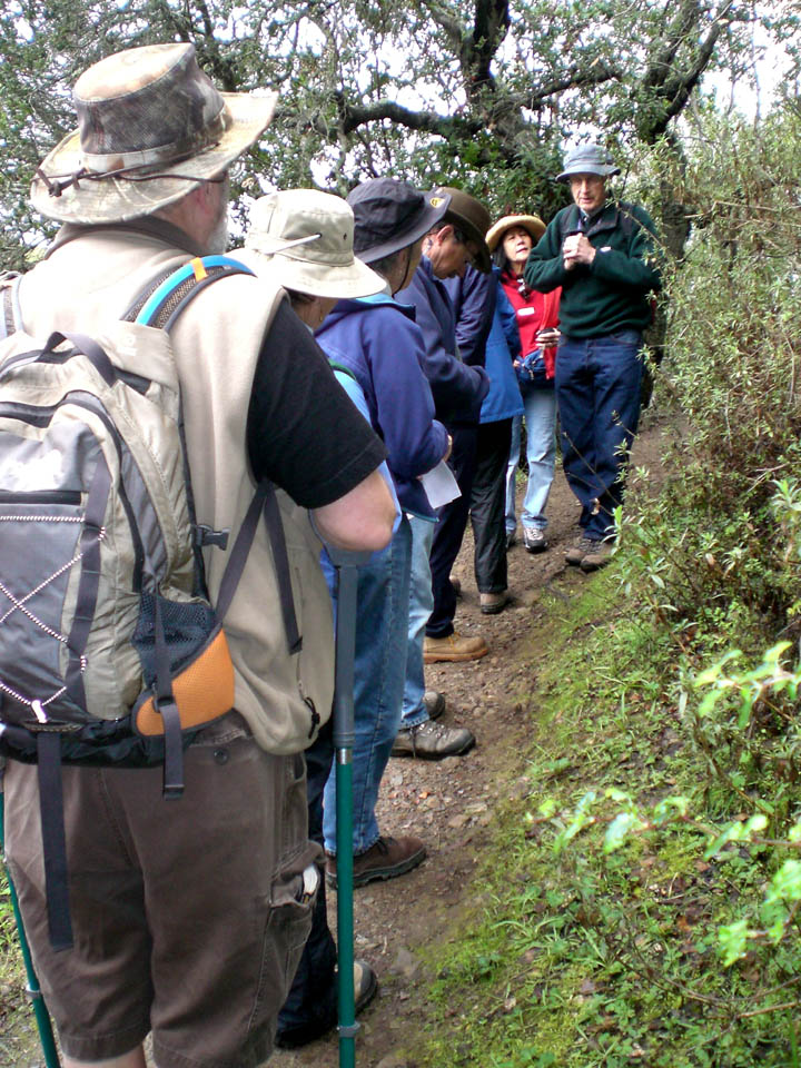 edgewood-wildflower-walks