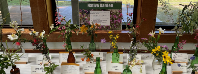 Wildflower Display