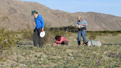 53 road from borrego springs jacobs