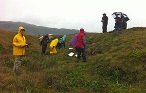 People in a field wearing raincoats