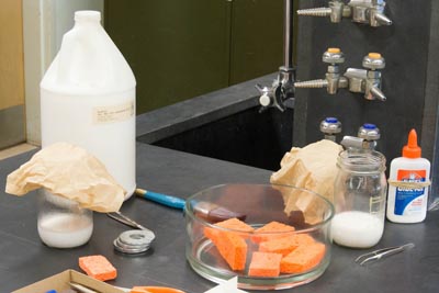 Herbarium glue, orange sponges, other tools on table