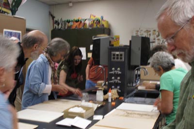 People mounting plant specimens at a table