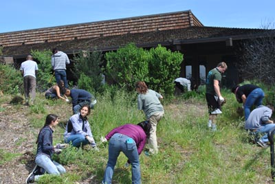Biology class removing invasive grasses - Native Hill workday by Tom Lee biology class removing invasive grasses lee