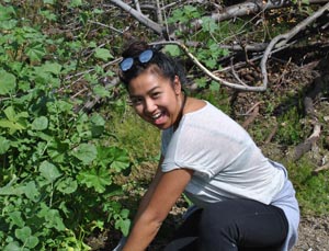 Pulling weeds is fun! Native Hill workday by Tom Lee pulling weeds is fun lee