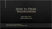 How to Draw Wildflowers